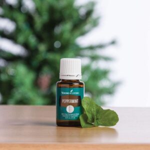 ESSENTIAL OIL MINT 15ML
